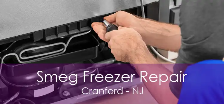 Smeg Freezer Repair Cranford - NJ