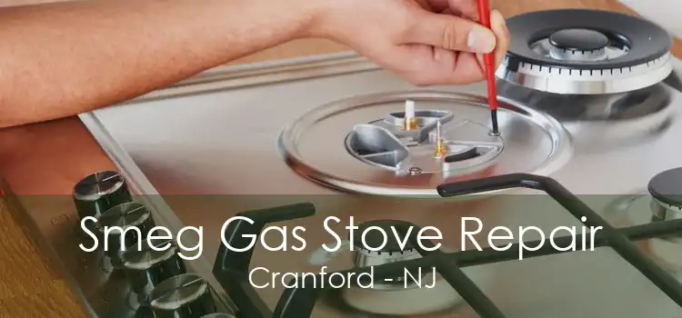 Smeg Gas Stove Repair Cranford - NJ