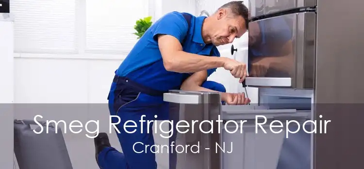 Smeg Refrigerator Repair Cranford - NJ