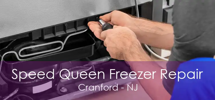 Speed Queen Freezer Repair Cranford - NJ