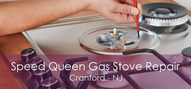 Speed Queen Gas Stove Repair Cranford - NJ