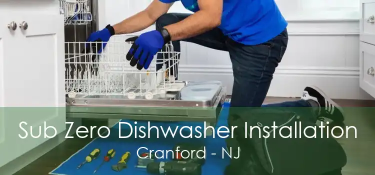 Sub Zero Dishwasher Installation Cranford - NJ