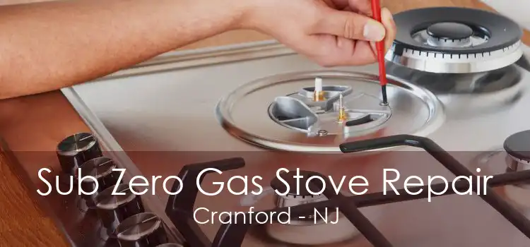 Sub Zero Gas Stove Repair Cranford - NJ