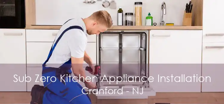 Sub Zero Kitchen Appliance Installation Cranford - NJ