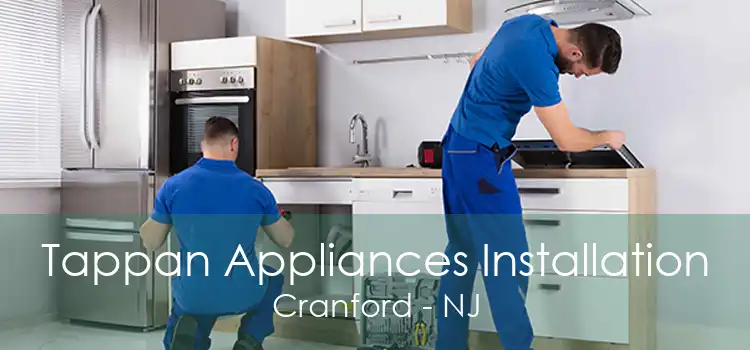 Tappan Appliances Installation Cranford - NJ