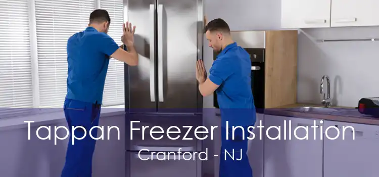 Tappan Freezer Installation Cranford - NJ