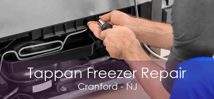 Tappan Freezer Repair Cranford - NJ