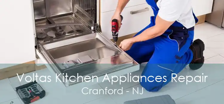 Voltas Kitchen Appliances Repair Cranford - NJ