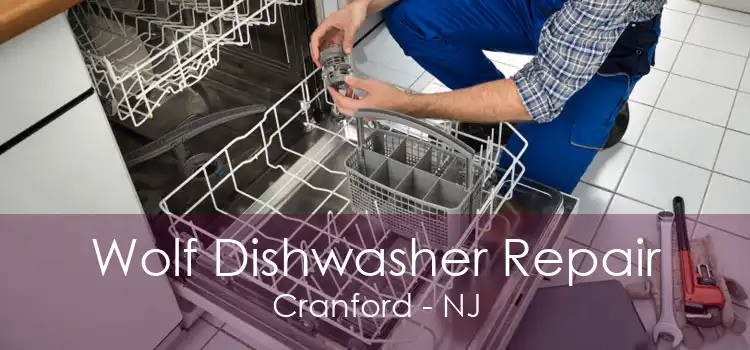 Wolf Dishwasher Repair Cranford - NJ
