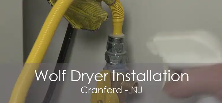 Wolf Dryer Installation Cranford - NJ