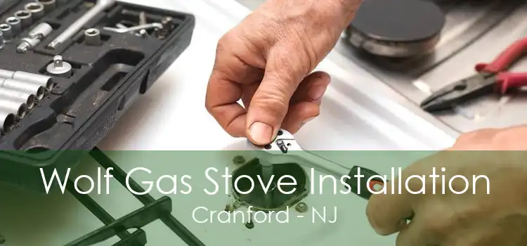 Wolf Gas Stove Installation Cranford - NJ