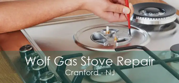 Wolf Gas Stove Repair Cranford - NJ