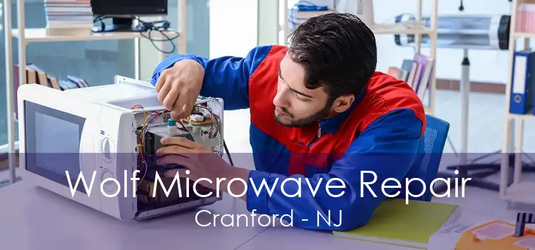 Wolf Microwave Repair Cranford - NJ