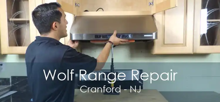 Wolf Range Repair Cranford - NJ