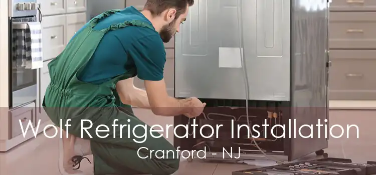 Wolf Refrigerator Installation Cranford - NJ