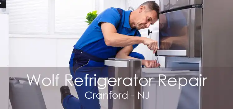 Wolf Refrigerator Repair Cranford - NJ