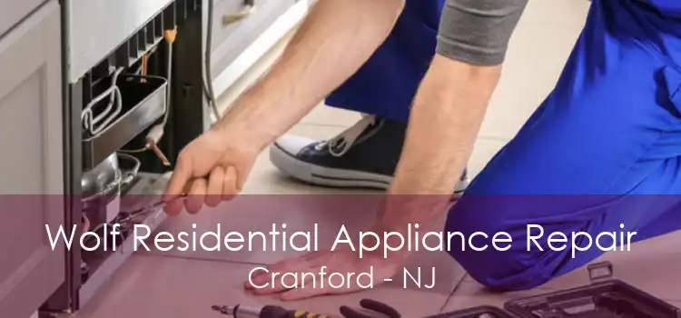 Wolf Residential Appliance Repair Cranford - NJ