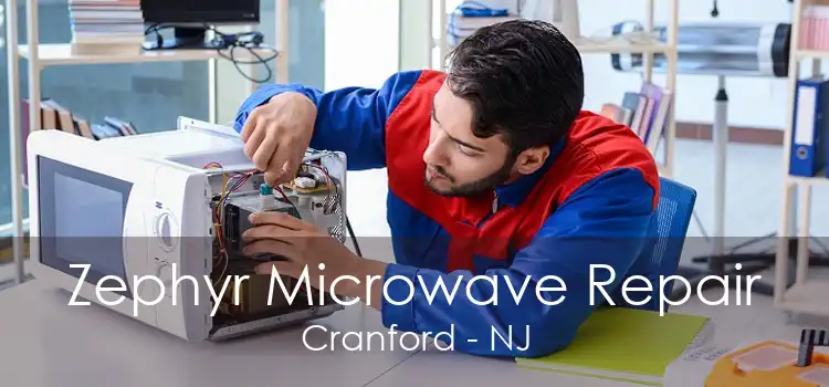 Zephyr Microwave Repair Cranford - NJ